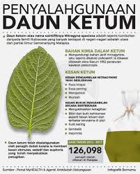 Jabatan perhutanan semenanjung malaysia jalan sultan salahuddin, 50660 kuala lumpur no. Melakafm Penyalahgunaan Daun Ketum Melakafm Facebook