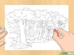 3 Ways To Draw A Forest Wikihow Beach summer lanscape natural scenic. 3 ways to draw a forest wikihow