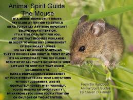 Animal Spirit Guide The Mouse Animal Spirit Guides Animal Totem Spirit Guides Spirit Guides