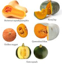 Where can i find squash from south africa? 20 Awesome Paleo Pumpkin Recipes