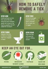 Image result for Tick Removal