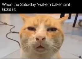Discover and share wake and bake quotes. Bpk 2vamyeccam