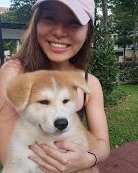 My double trouble now 🐶🐶 Say hello to Tokyo & Niseko 😄 #puppyloves I  love coming home early to play with my puppies #futurerunningbuddies Lets  have #puppydates