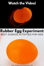 This is a great activity for a classroom or a group of friends, because you can race your. Egg In Vinegar Experiment For Kids Little Bins For Little Hands