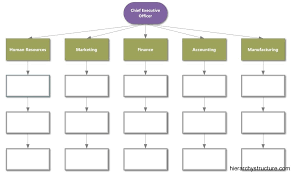 Business Executive Hierarchy Hierarchical Structures And