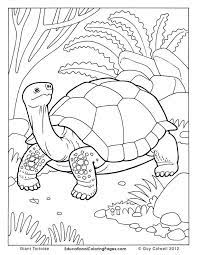 Click on the image you want to color, this will open page displaying large picture you selected. Pin On Zoo Camp