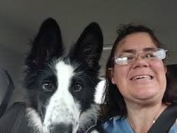 Say hello to Panzer! He's daring you to take his toy 🤣