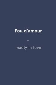 Fou D Amour Madly In Love Want More Visit Www Talkinfrench Com And Check Out Awesome Content Every Week French Words Quotes French Love Quotes French Quotes