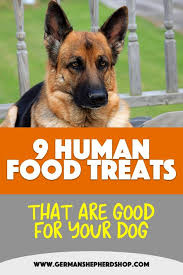9 Human Food Treats That Are Good For Your Dog German Shepherd Food German Shepherd Training German Shepherd
