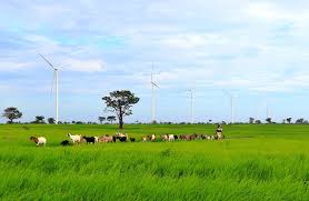 Disiapkan pada tahun 2006, kincir angin ni digunakan untuk membekalkan tenaga elektrik kepada penduduk pulau tu. Kementerian Esdm Ri Media Center Arsip Berita Potensi Pengembangan Listrik Tenaga Angin Indonesia Berikut Sebaran Lokasinya