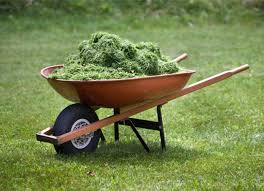 Grass clippings make excellent compost and require less from the composter. What To Do With Grass Clippings After Mowing Bob Vila