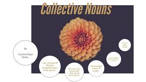 Here are some more collective noun examples. Collective Nouns By Carolina Rojas