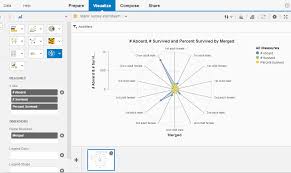 Radar Chart Business Intelligence Businessobjects