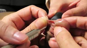 Jacobs Ladder piercing arousal - R34 unleashed desire