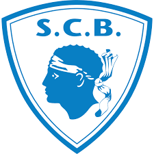 By downloading this vector artwork you agree to the. Sc Bastia 90 S Logo Download Logo Icon Png Svg