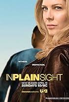 In Plain Sight (TV Mini Series 2016)