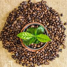 Maybe you would like to learn more about one of these? Louis Dreyfus Company Makes Sustainability Strides In Soy Sugar Rice And Coffee