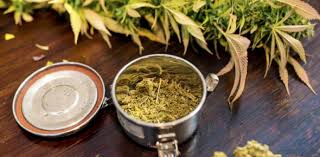 Need help with identifying the worst weeds commonly found in yards? Marijuana Trivia Facts Ultimate Quiz Proprofs Quiz