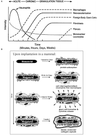 Juul is not your average vaporizer. Frontiers A Review Electrode And Packaging Materials For Neurophysiology Recording Implants Bioengineering And Biotechnology