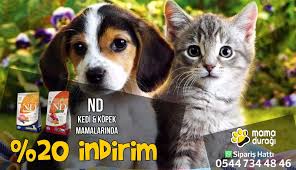 Kedi Kopek Guvercin Kus Hamster Tavsan Tavuk Mama Yem Ve Bakim Urunleri Mama Duragi Kedi Kopek Kedi Kopek