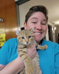 What kind of kitty is Associate IndeVet Dr. Michelle treating?! Comment  below with your guesses. And swipe right if you need a closer look 😉