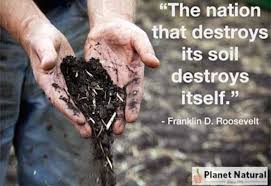 Trusted voices, nebraska's living soil. Dirt Vs Soil