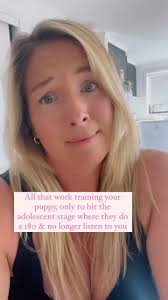 Puppy mischief takes