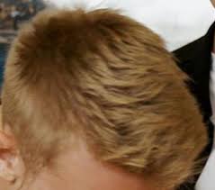Not quite platinum and not quite golden blonde, champagne hair gave blondes a reason to pop bottles in. Nutrisse Nourishing Color Creme Champagne Blonde 82 Garnier