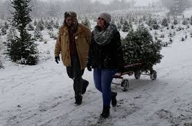 Check spelling or type a new query. Grant Christmas Tree Farm Prices Nar Media Kit