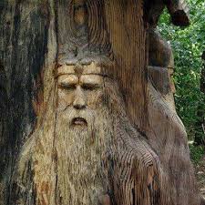 Meet Sagesse Tree Carving Tree Sculpture Tree Faces