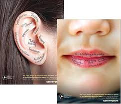 Identify The Signs Posters Best Buy Speech And Hearing Speech Language Therapy Speech And Language
