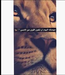 Pin By Soso Bilal On اسد Calligraphy Quotes Love Lonely Art Cute Love Gif