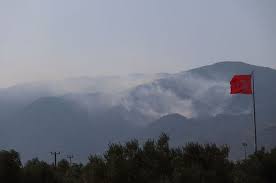 Balıkesir edremit'e bağlı güre beldesindeki kazdağları ormanlık alanında sabah saatlerinde yangın çıktı. Rhjtlpggv0awkm