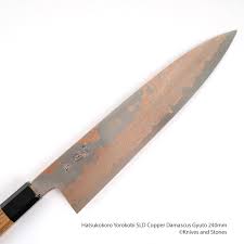 Image result for Gyrodoma hispida