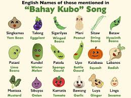 Image result for Senecio pachyrhizus