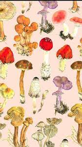 Pin By Nagy Zita On Botanica Mushroom Wallpaper Animal Print Wallpaper Mushroom Background