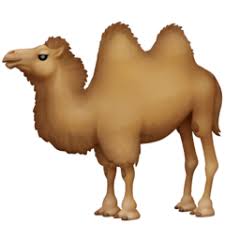 And if you have created a wishlist in your amazon account, it watched the price history of all. Two Hump Camel Emoji Dictionary Of Emoji Copy Paste