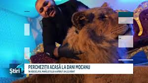 De data aceasta, dani mocanu a ales să distribuie o fotografie pe contul său de facebook în care apare alături de o căprioară, pe care o mângâie. PercheziÈ›ii AcasÄƒ La Dani Mocanu Mdi Tv