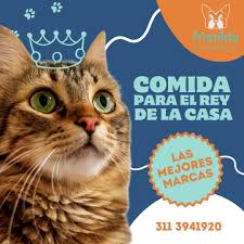 Matilda Centro Veterinario