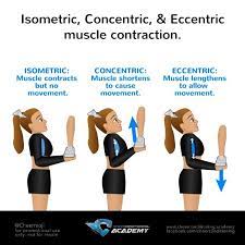 Cheerleading Muscle Contractions Cheerleadingstunting Did You Know There Are Three Ways That Your Musc Cheer Workouts Cheerleading Workouts Cheerleading Stunt