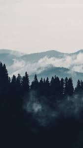 Download the perfect forest aesthetic pictures. Aesthetic Forest Wallpapers Top Free Aesthetic Forest Backgrounds Wallpaperaccess