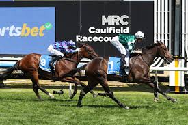 Just Horse Racing - News update