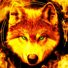 (susan cain) ich glaube, ich bin so etwas wie ein einsamer wolf. Fire Wallpaper And Keyboard Lone Wolf Apps Bei Google Play