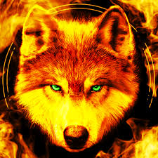 Support us by sharing the content, upvoting wallpapers on the page or sending your own background pictures. Fire Wallpaper And Keyboard Lone Wolf Apps On Google Play