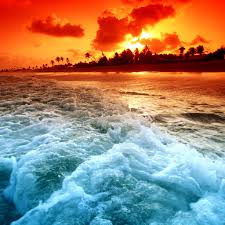 The attractive red sunset beach 640x1136 iphone 5 5s 5c se wallpaper. 30 Hd Tropical Beach Ipad Backgrounds