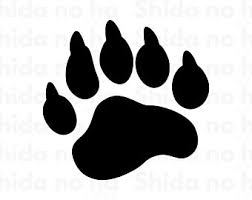 Download Teacher Bear Svg Etsy