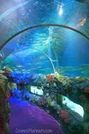 Pin On Best Family Vacations