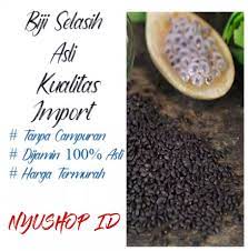 We did not find results for: Biji Selasih Kualitas Import Isi 200 Gram Basil Seed Selasi 200 Gr Biji Selasih Selasih Kual Lazada Indonesia