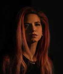 Caitlin Cronenberg's 'Humane': Dystopian satire questions ecological  disaster and compassion