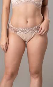 Calcinha em Renda Semi Fio Nude-Bicolor